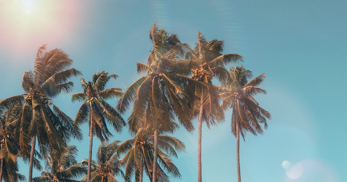5 Tips To Prepare Your AC Unit For The Summer Heat